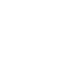 55 year logo in white